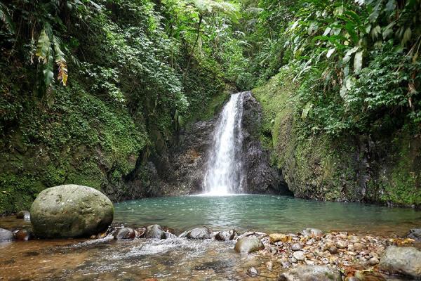 Grenada: Seven Sisters waterfall